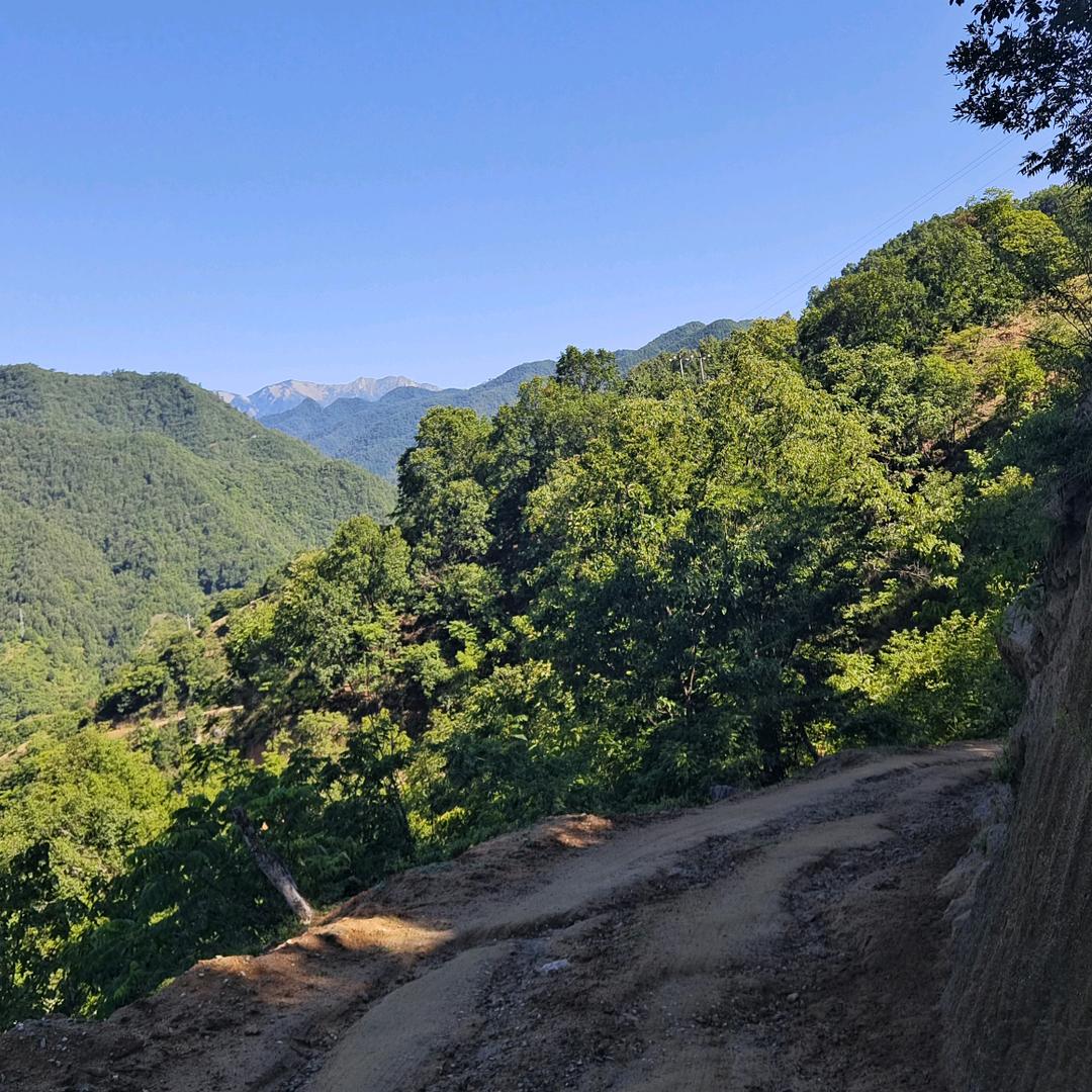 秦岭牛哥