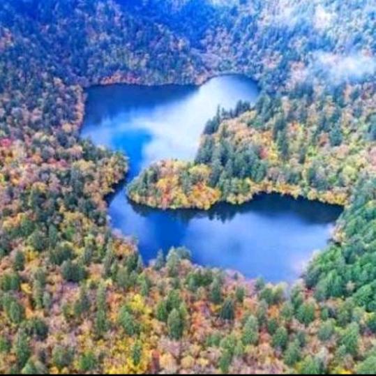 🌈风筝有风🍀2113