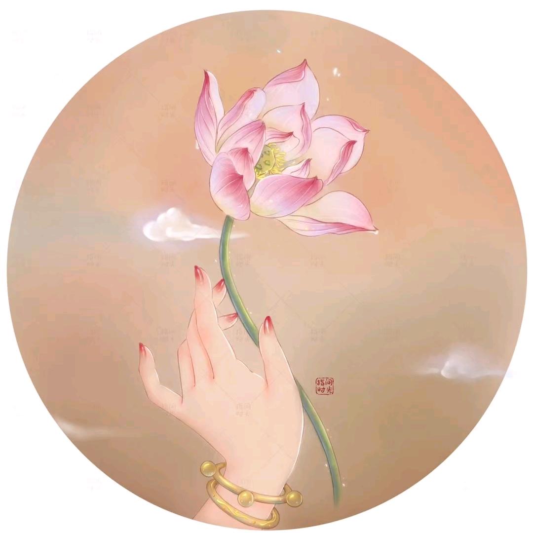 钢镚儿圆善