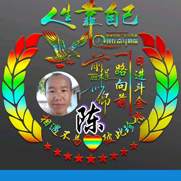陈锦月