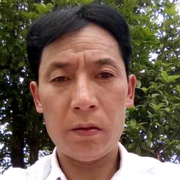 看淡红尘，杨