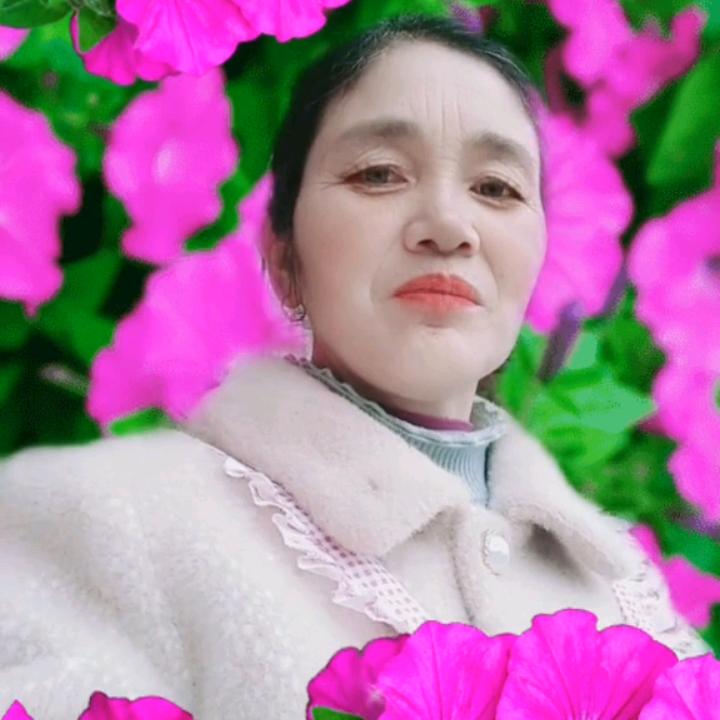 毛桂花