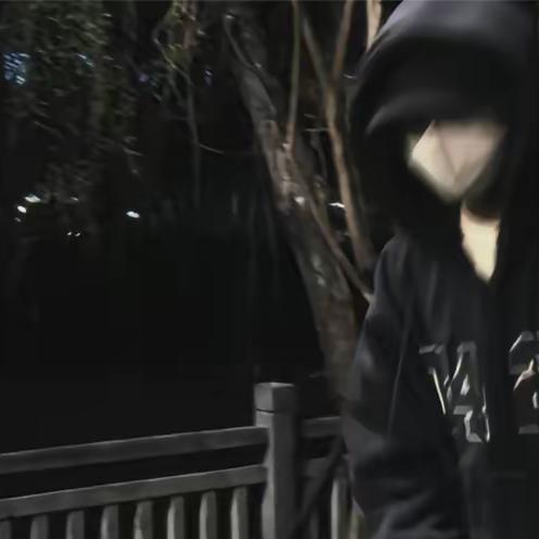龙龙