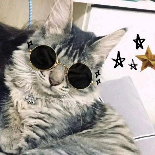 爱吃吐司的挖掘机
