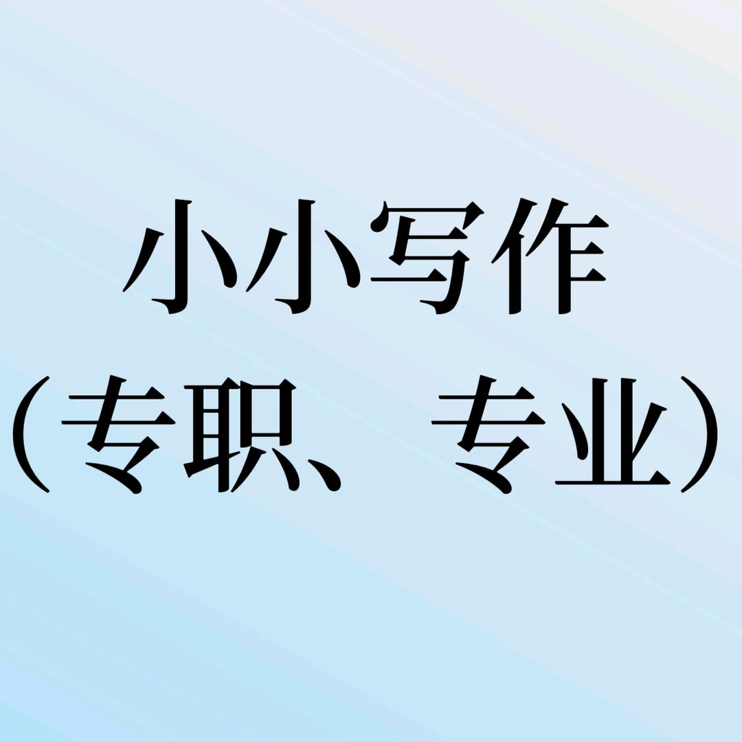 小小写作（可 代 写 )