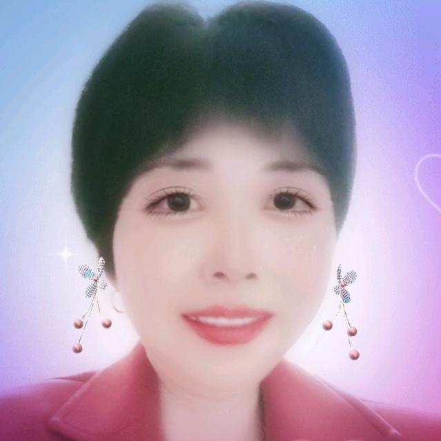 菊花盛开