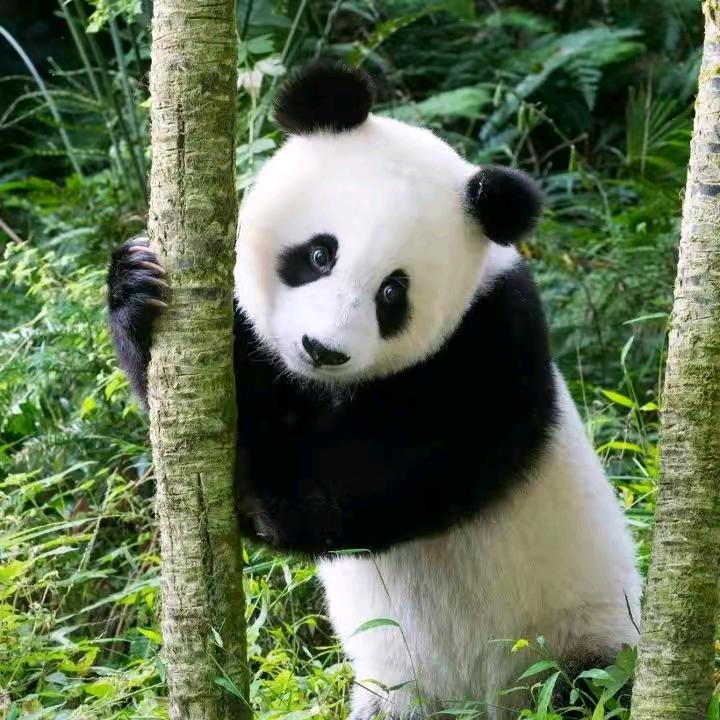 松岗潮度台球室