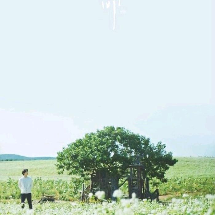 匠心得意