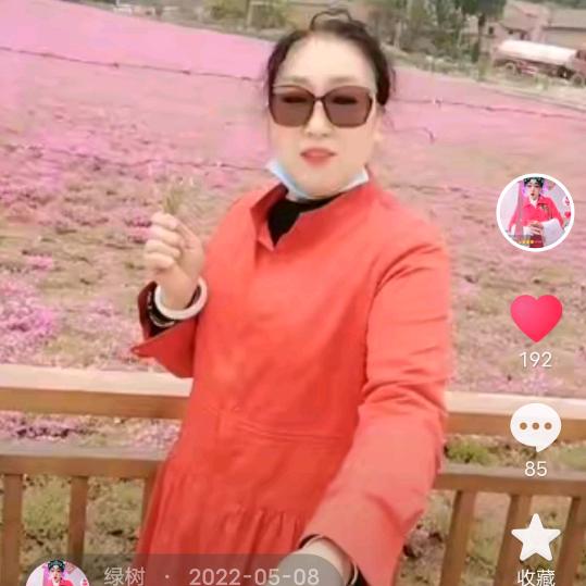 绿树