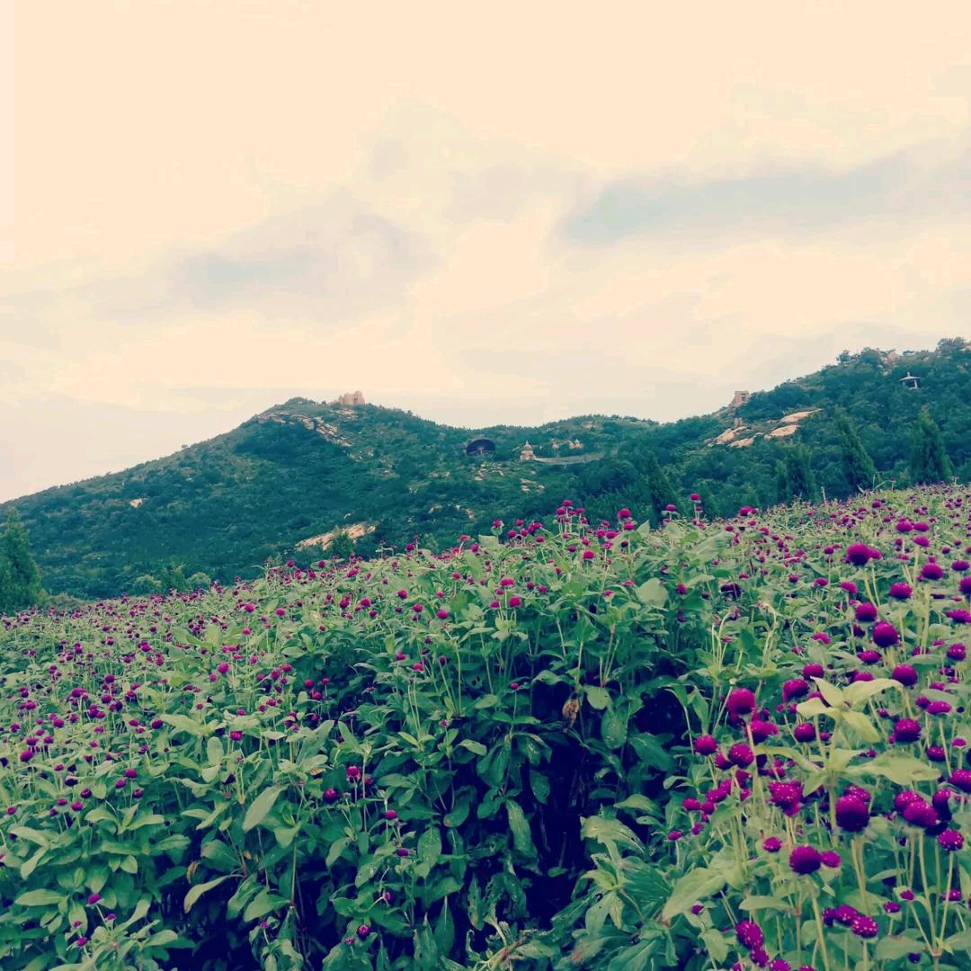 许多年以后的我