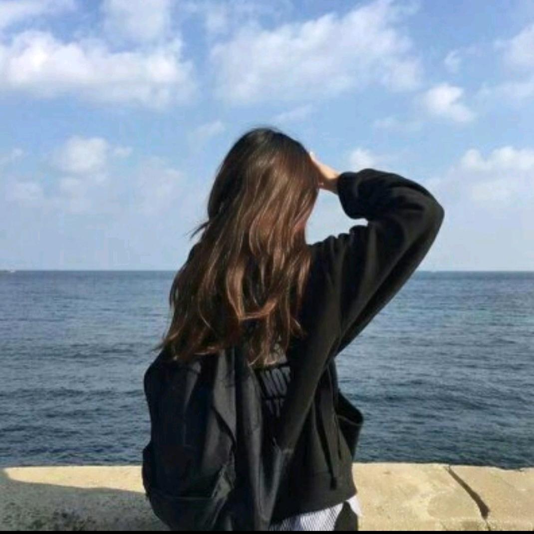流浪猫