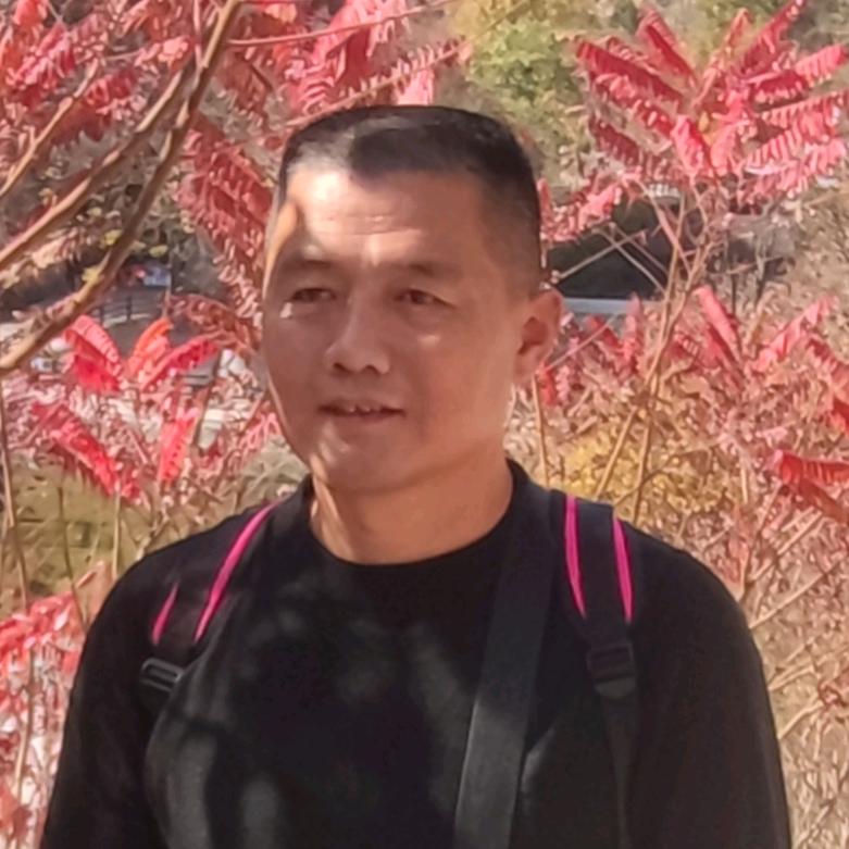 大李l