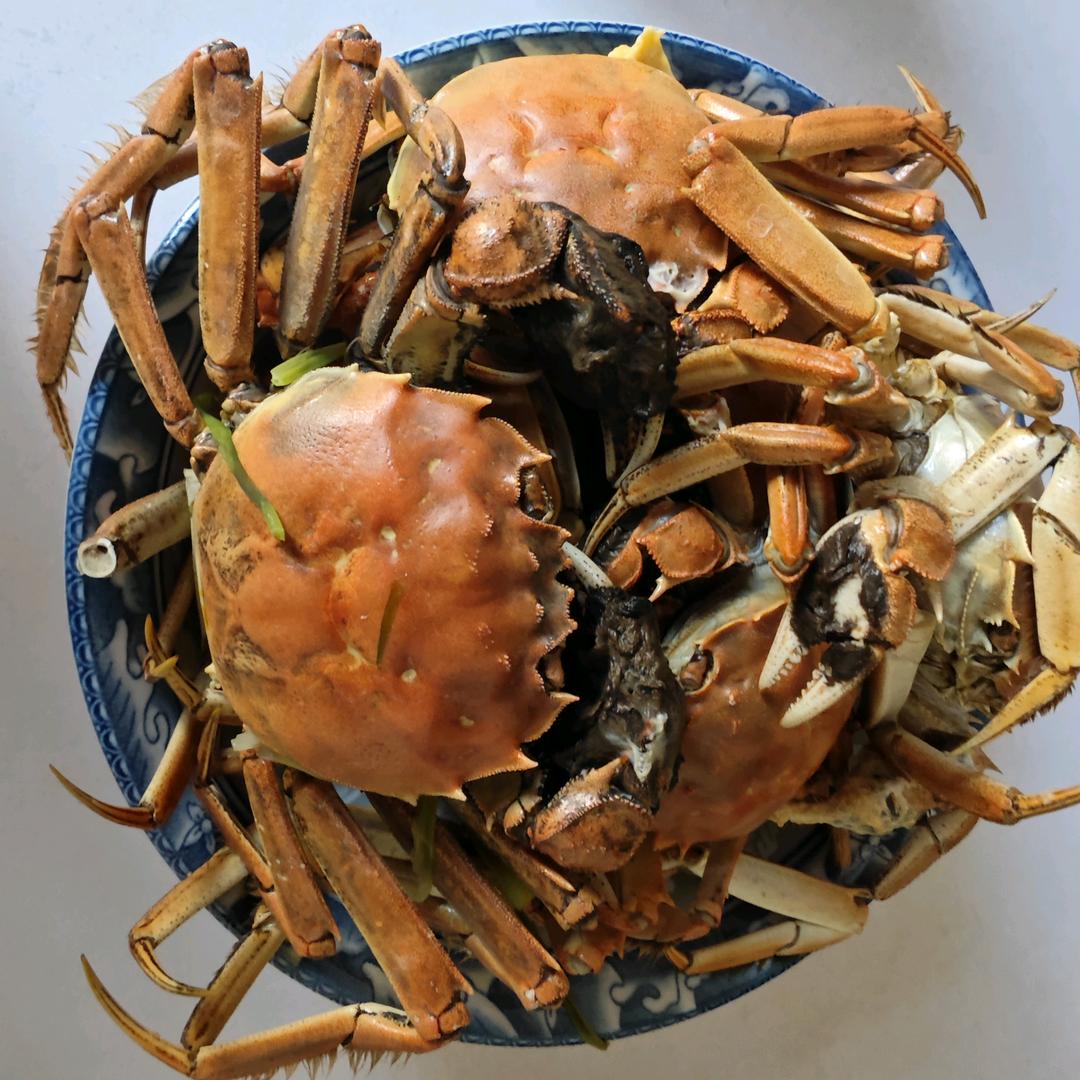 皮皮虾