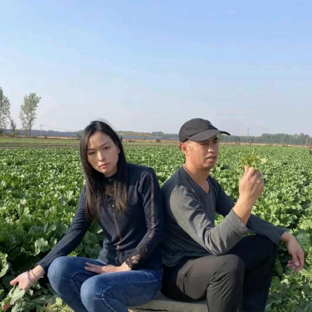 真人真唱天天开心(小号)