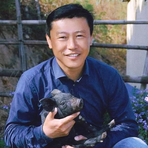 黑猪先生