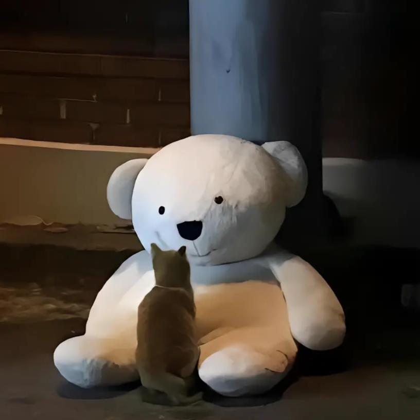 何乐而欢丶