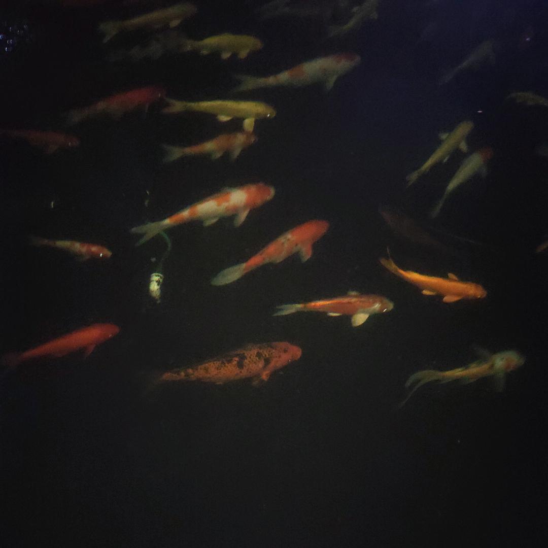 时间与岁月