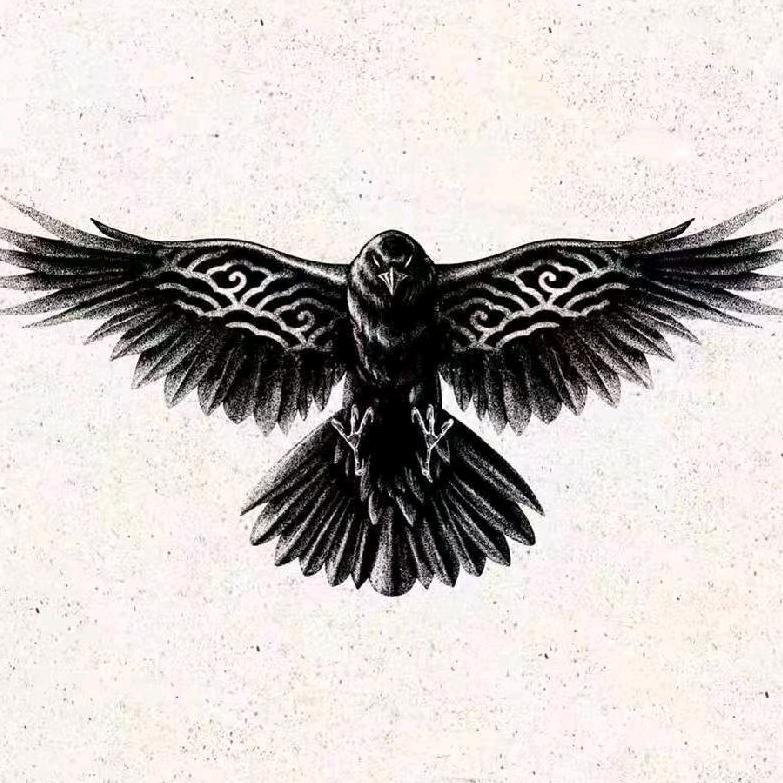 🕺老鹰🕺
