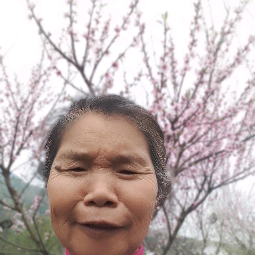 开心老年人