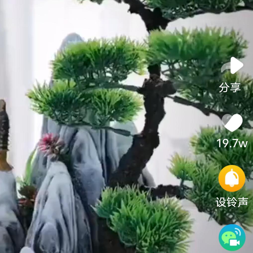 楊帆起航
