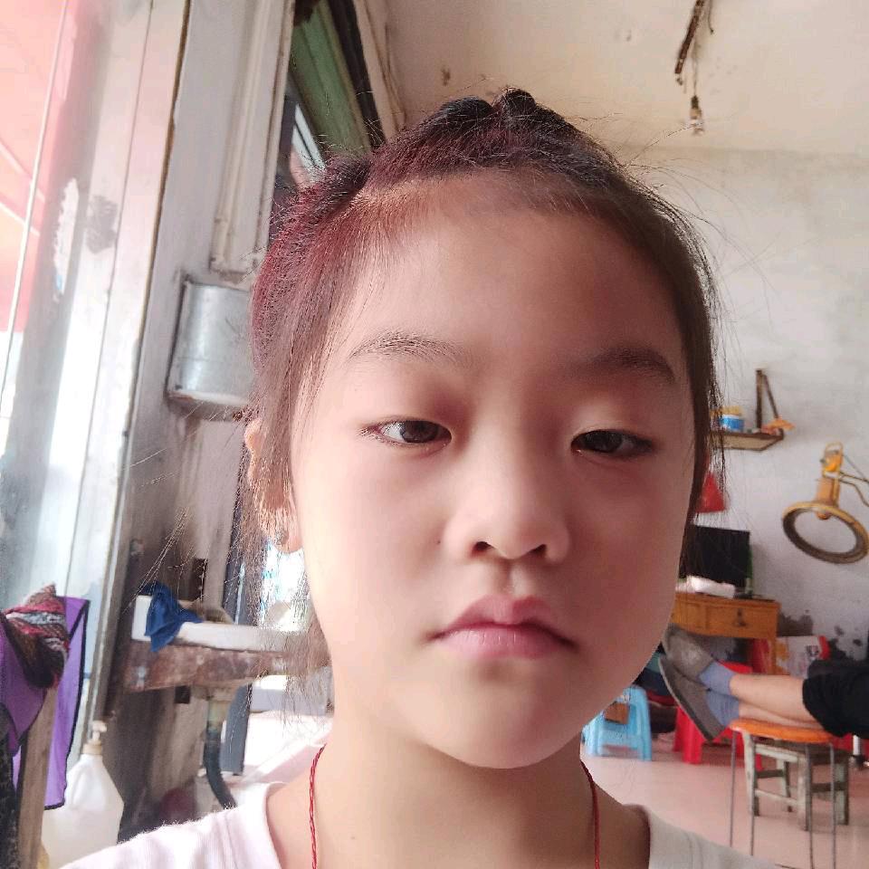 宁凤