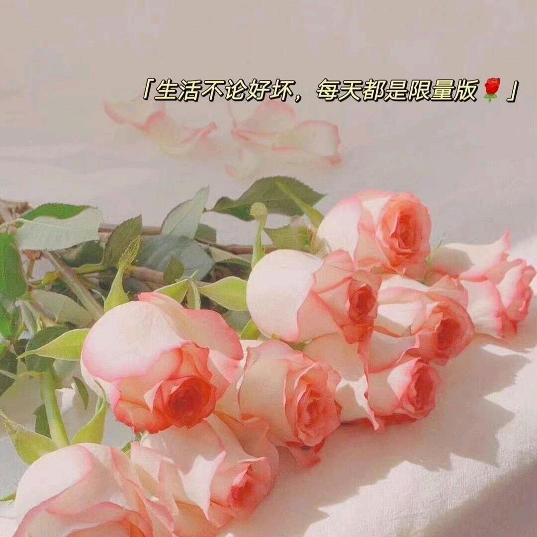 最熟悉的，陌生人…