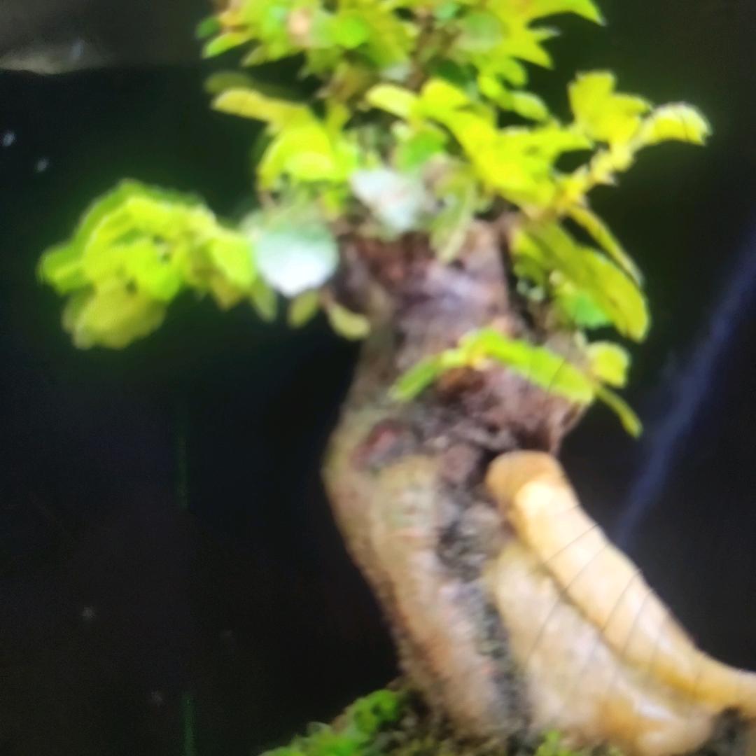 佳誉花卉坊