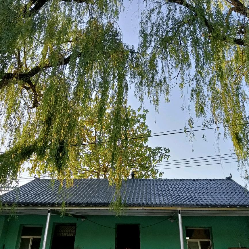 承接彩钢，树脂瓦，纳米板，搭建，