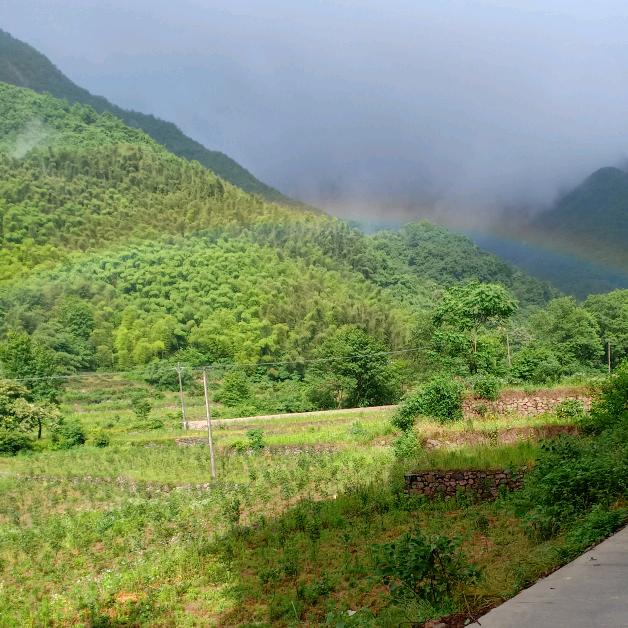 心闲