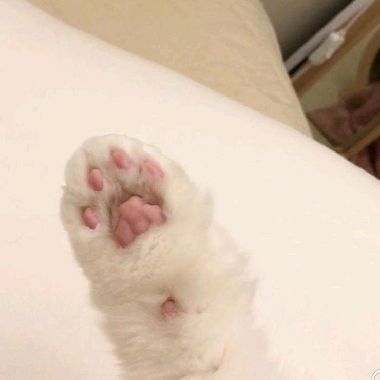 哆啦A梦的宝箱