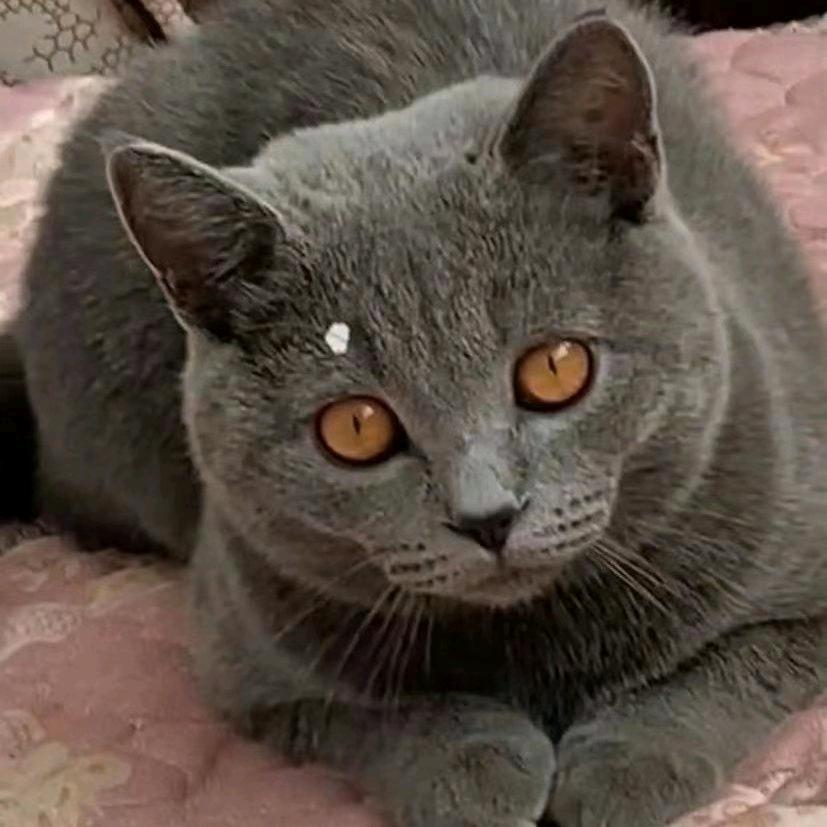 ゞ渲染ら流星ㄟ的颜色╰︶