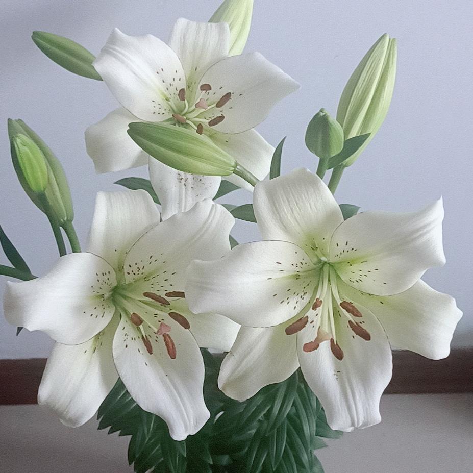 谭♥指✿之❤间