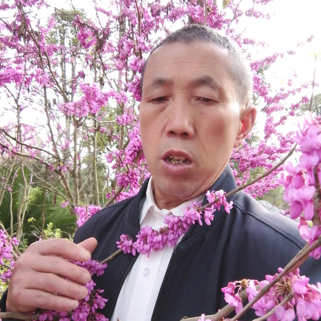 真模