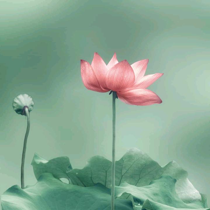 云淡风轻