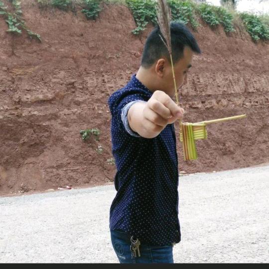 达歌