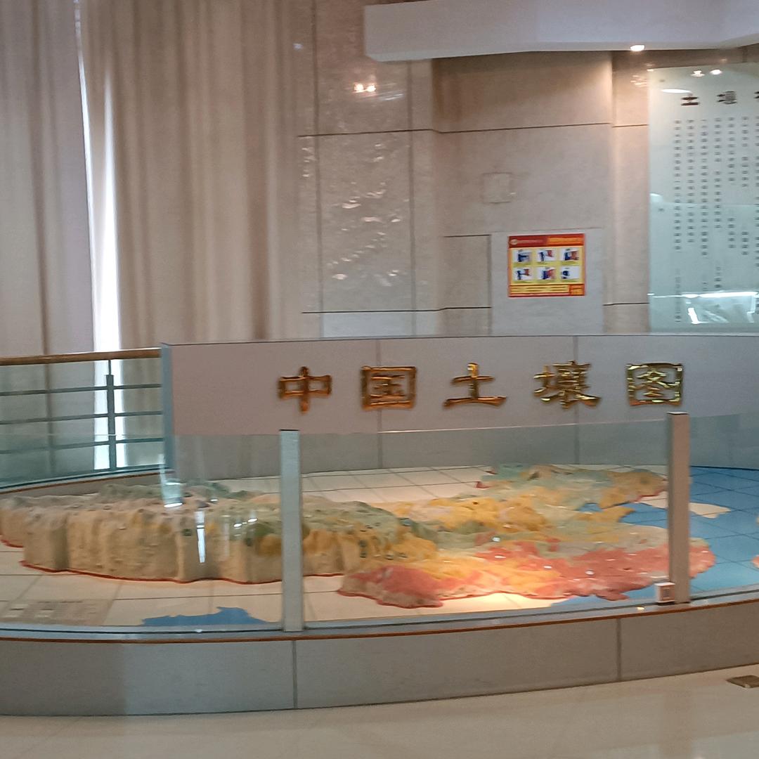 九天