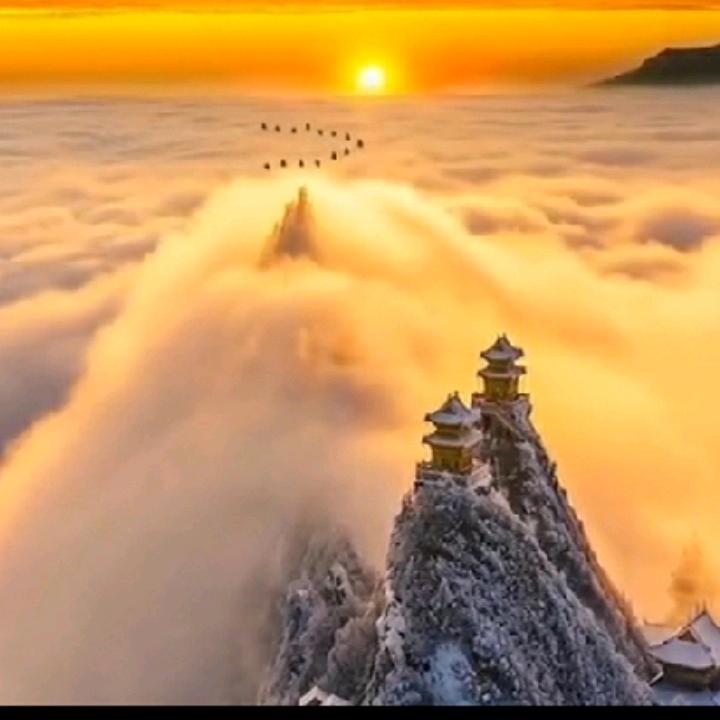 🌞月之光华🌙
