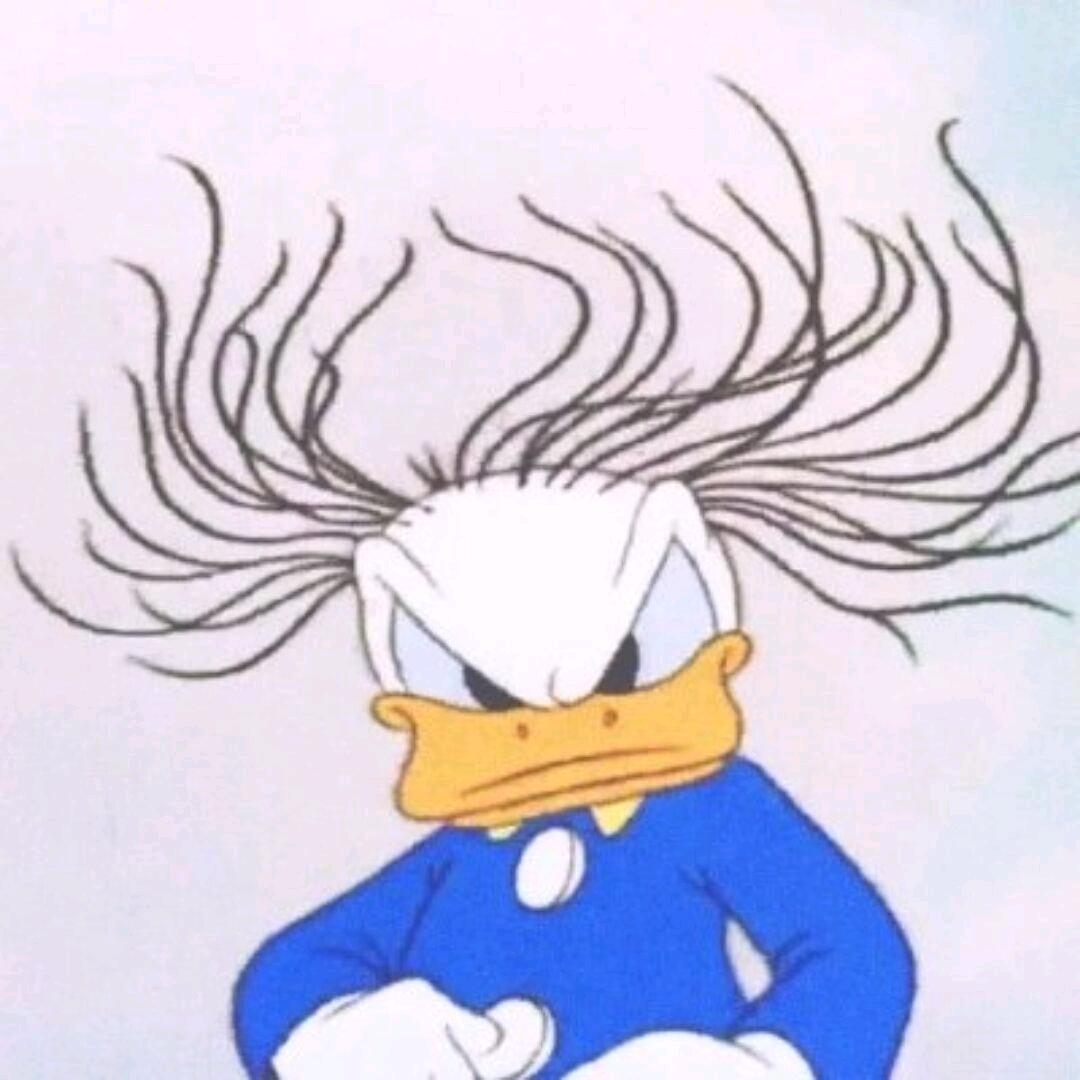 本人很高冷🥶
