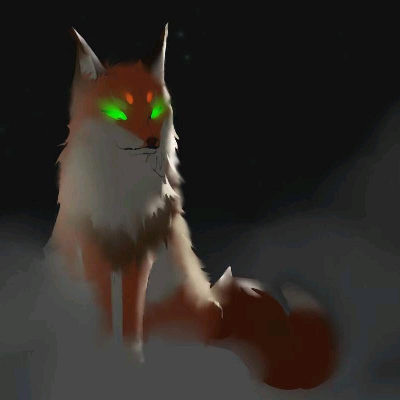 云狐