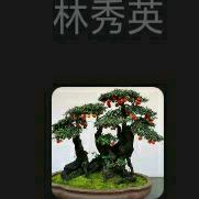 笑看人生