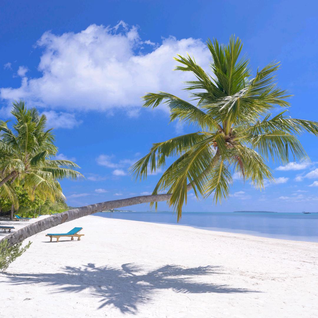 钱哆哆的宝藏橱窗