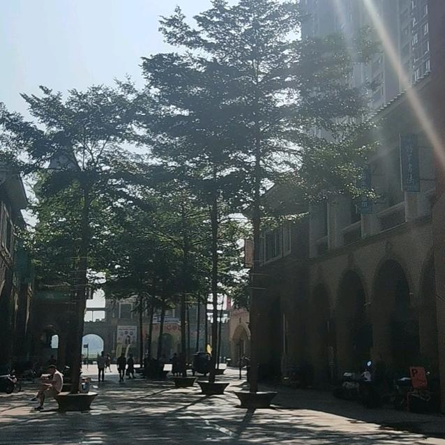 熊出食没