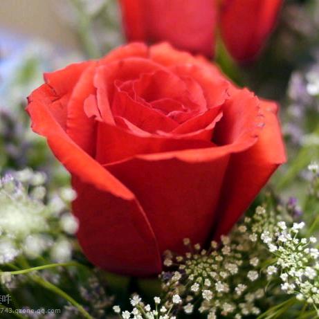 生活让我学会坚强