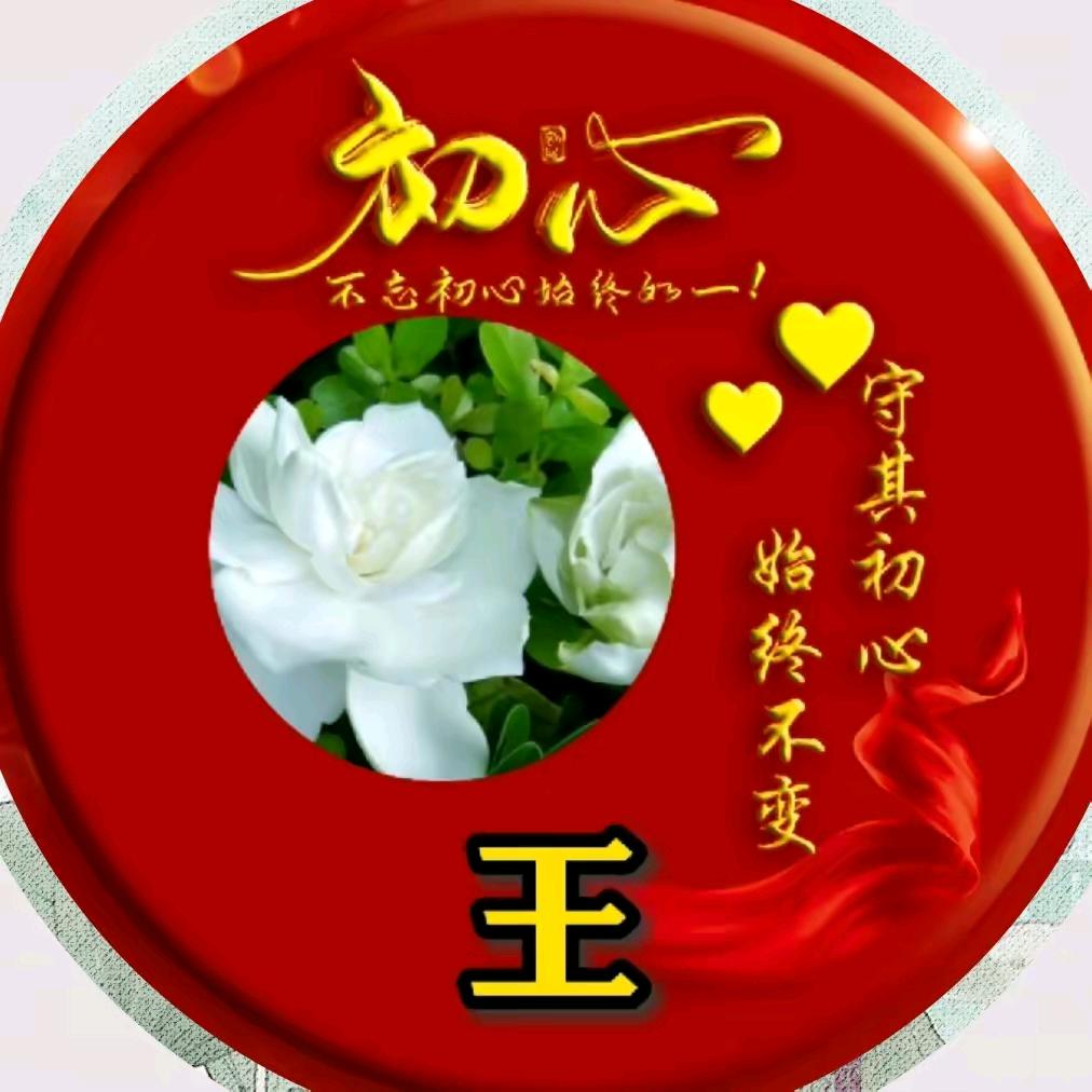 飞羽