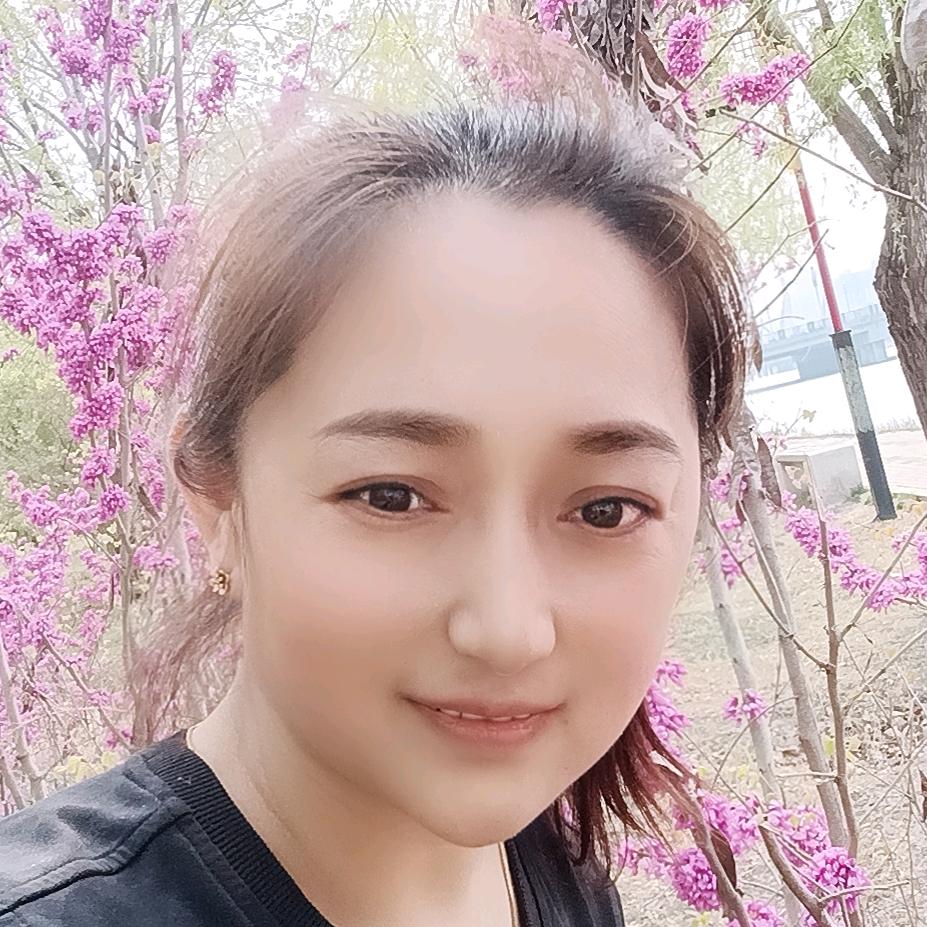 山东燕子（努力前行）