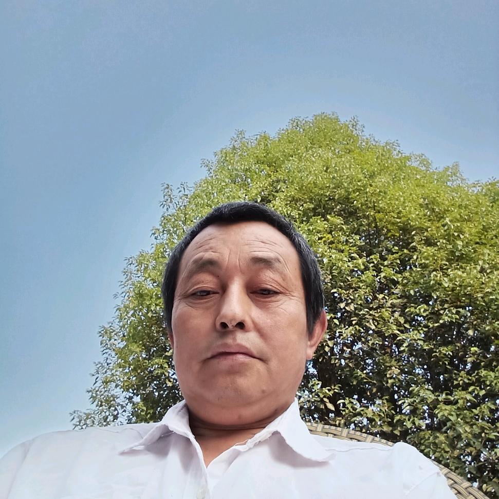 小白杨