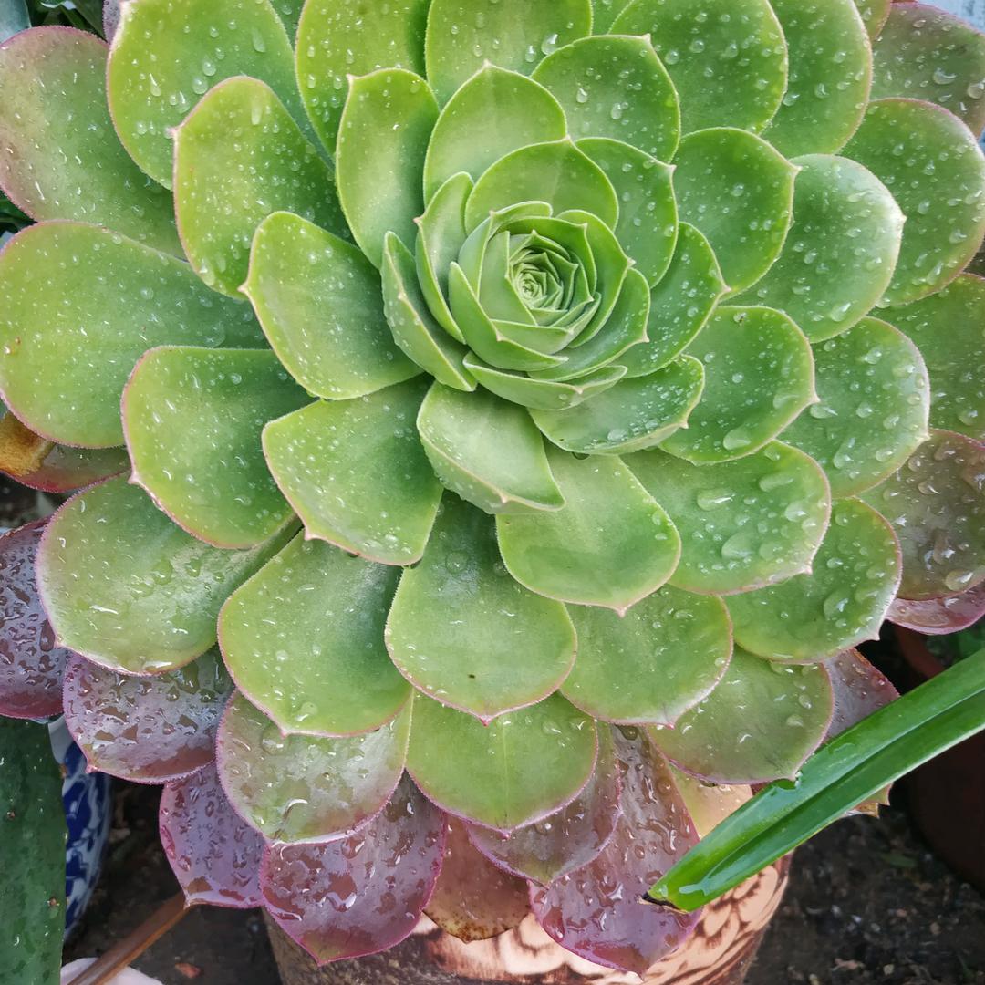 钫钧(橱窗有好货)