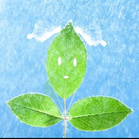 ᩚ🕊᭄落叶٭᭄໊ꦿ🦋ꦿ