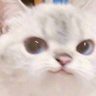 唐玄宗