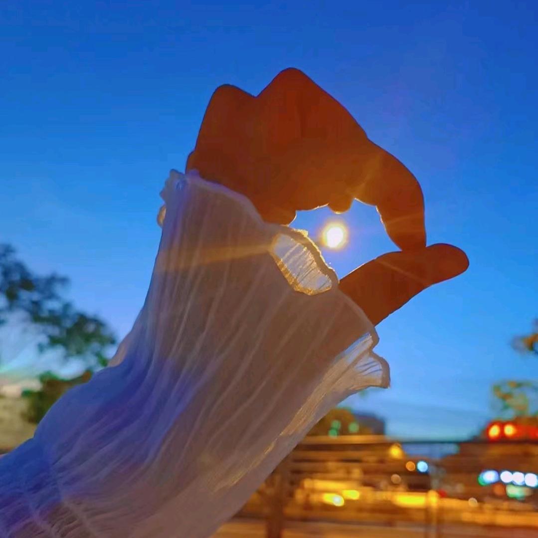 ✨卡路李